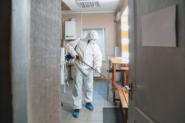Best Asbestos and Lead Testing During Mold Inspection  in Barton Creek, TX