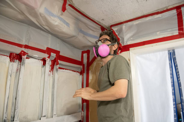Barton Creek, TX Mold Removal Company