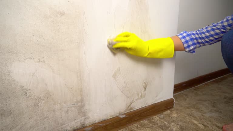 Best Emergency Mold Remediation  in Barton Creek, TX
